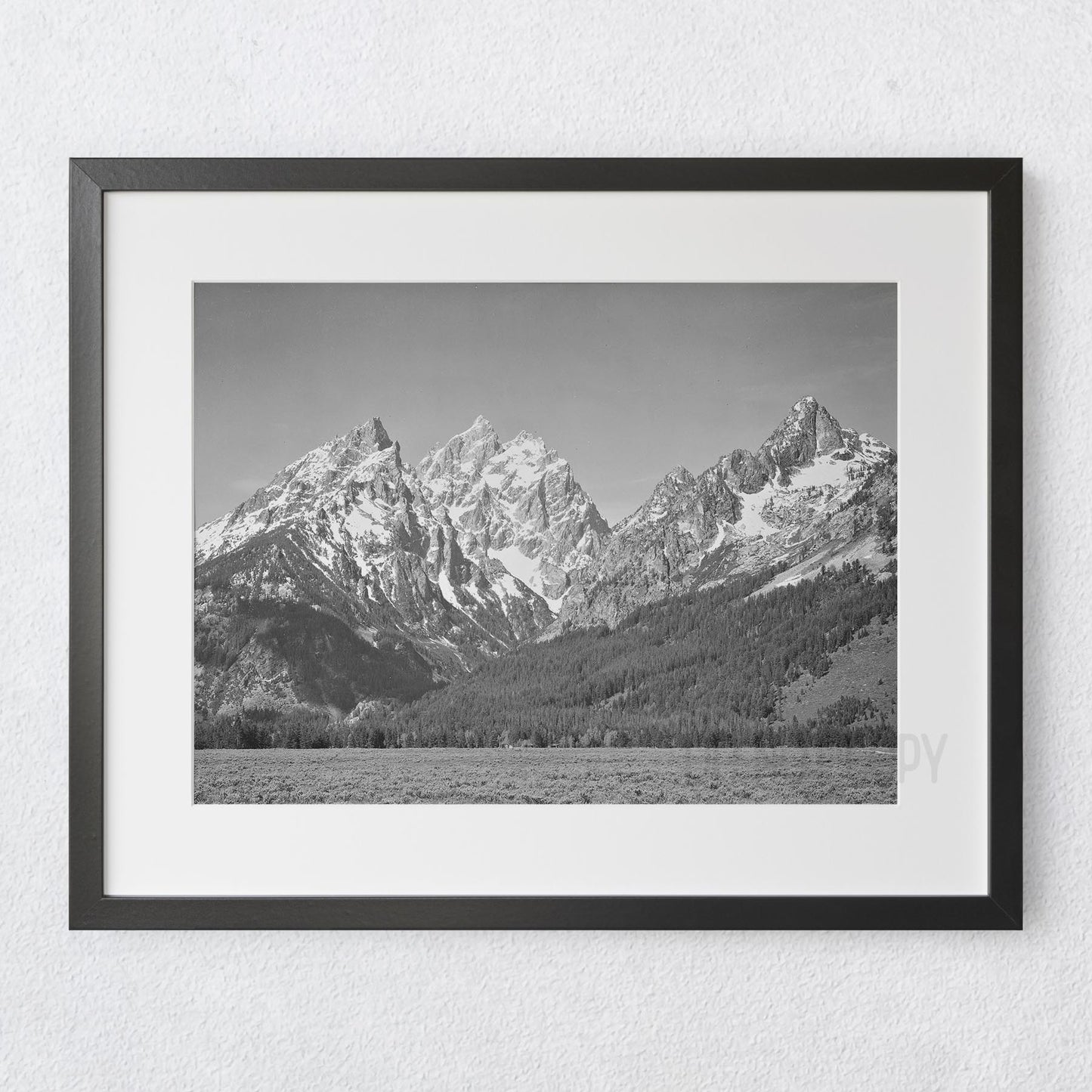 Ansel Adams Grand Teton National Park