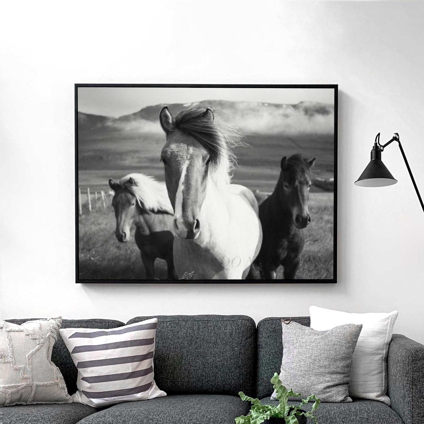 Three Horses