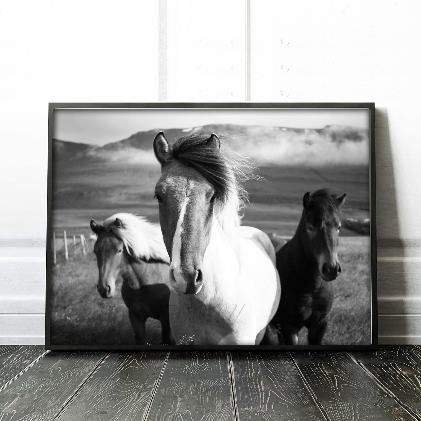 Three Horses