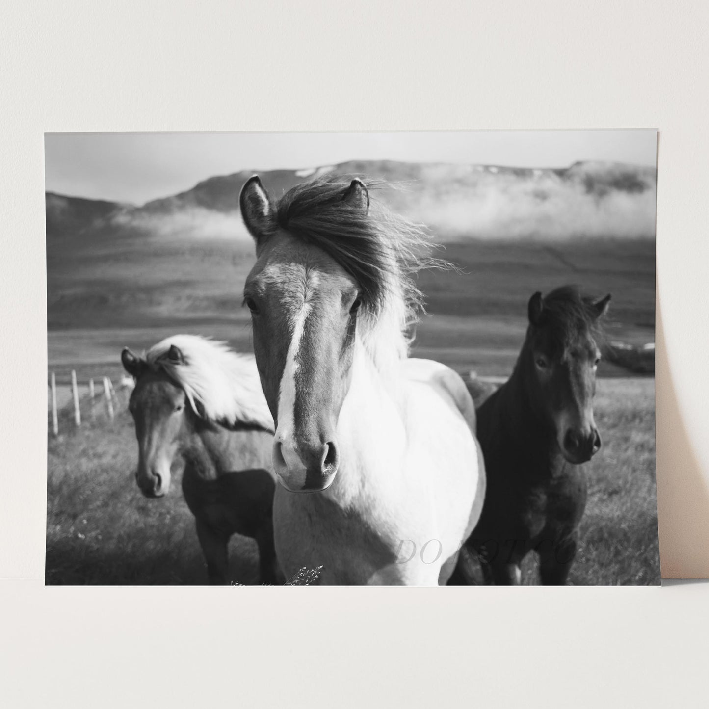 Three Horses