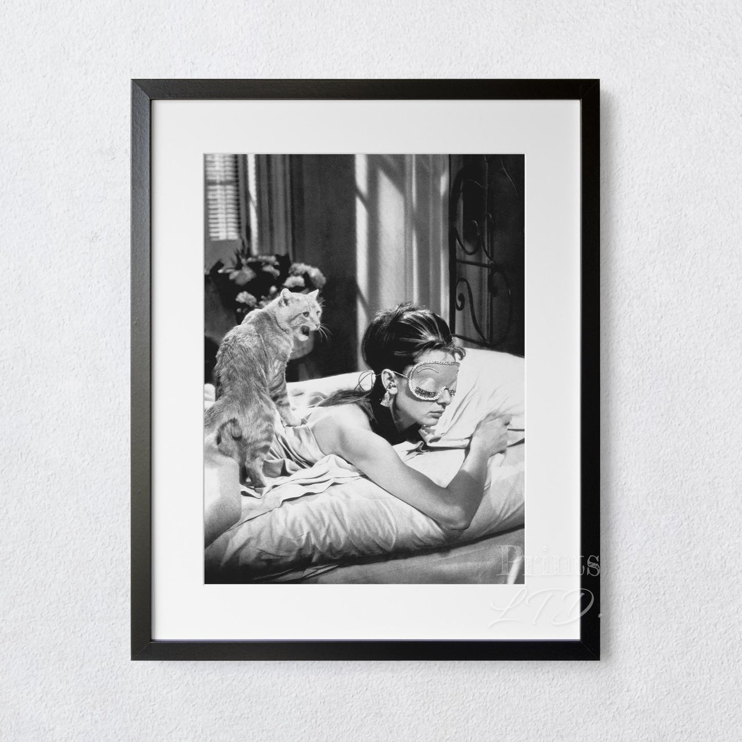 Audrey Hepburn Sleeping With Cat, Breakfast at Tiffany's