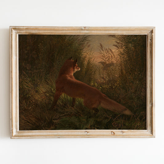 A Fox by Siegwald Dahl
