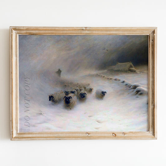 A Flock Of Sheep In A Snowstorm (1912) by Joseph Farquharson