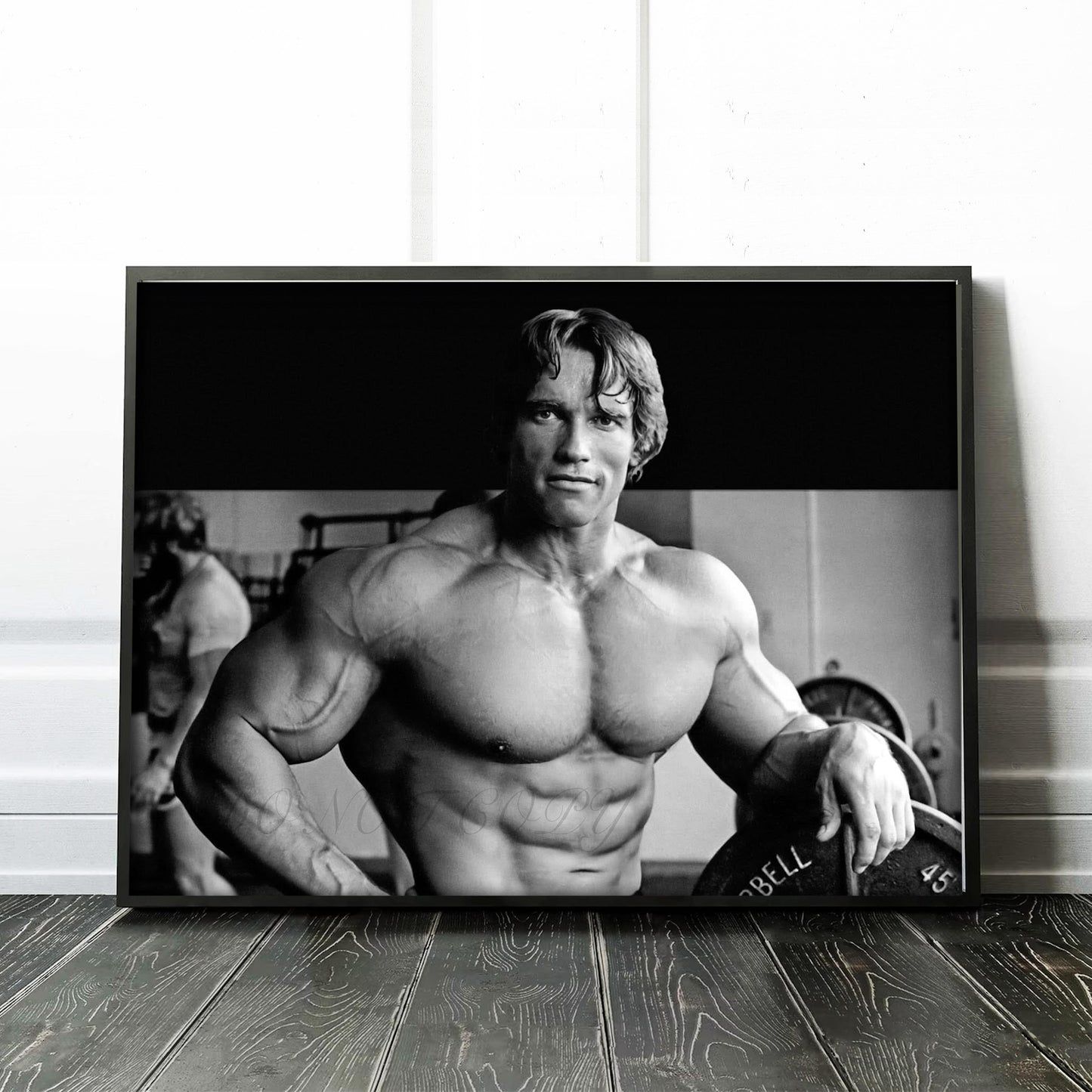 Arnold Schwarzenegger Conquer