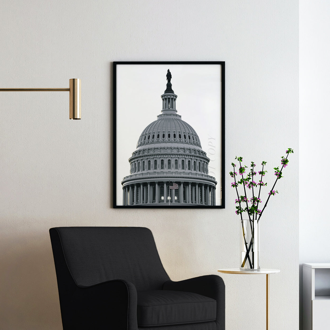 U.S. Capitol Building