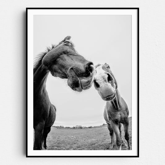 Horses