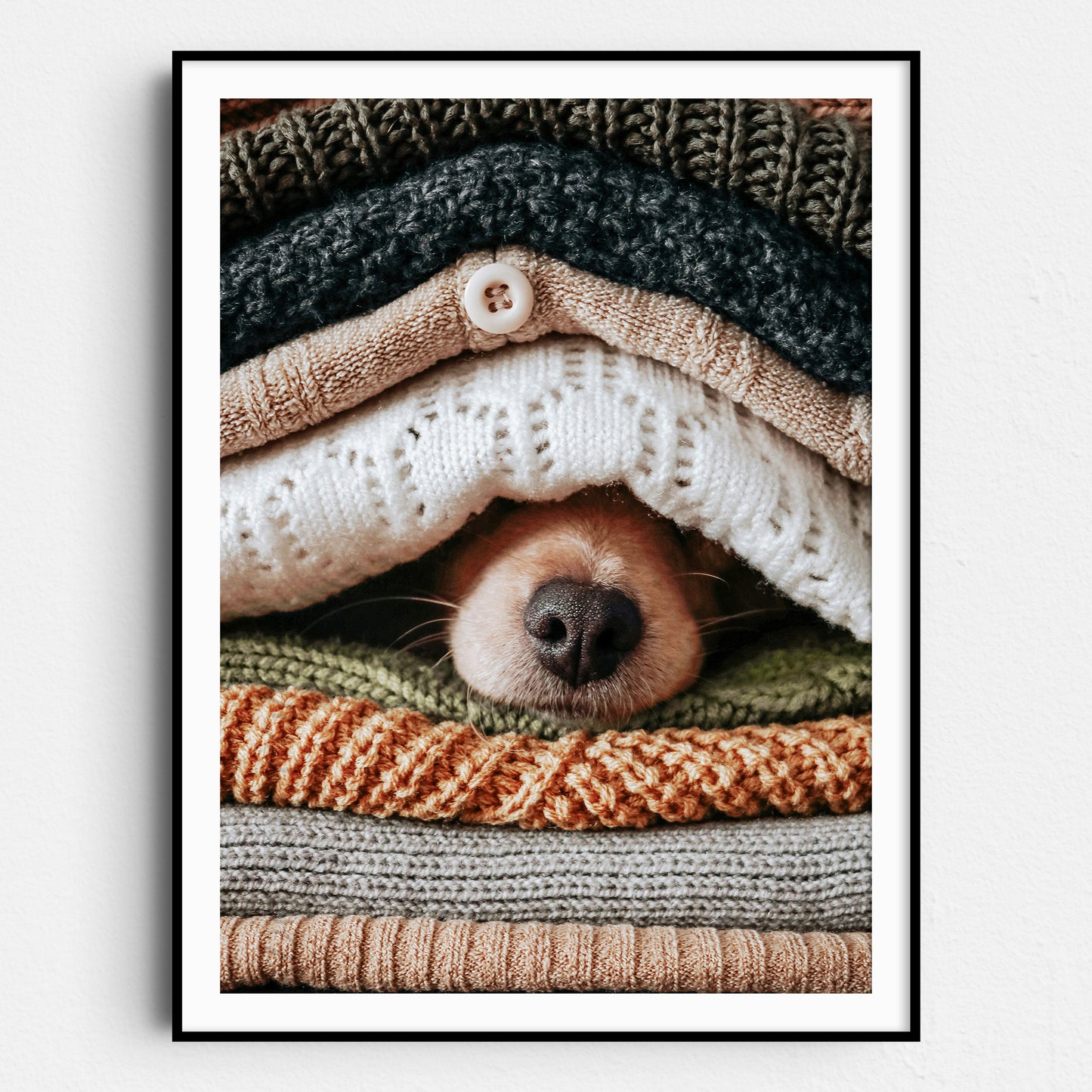 Dog Hiding Between Sweaters