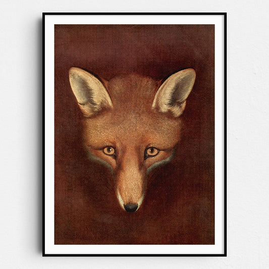 Fox Head by Reinagle
