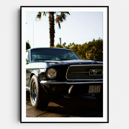 Vintage Ford Mustang and Palm Trees