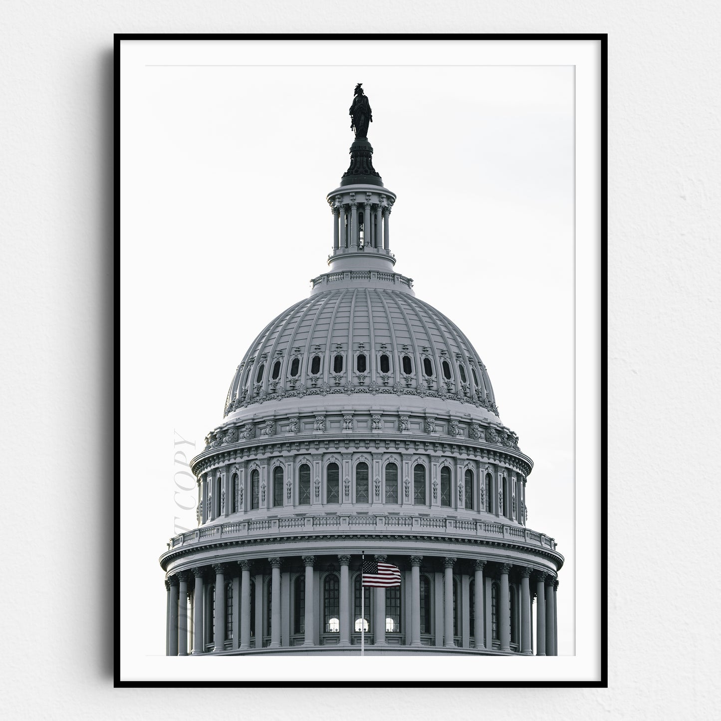 U.S. Capitol Building