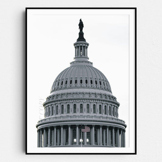U.S. Capitol Building