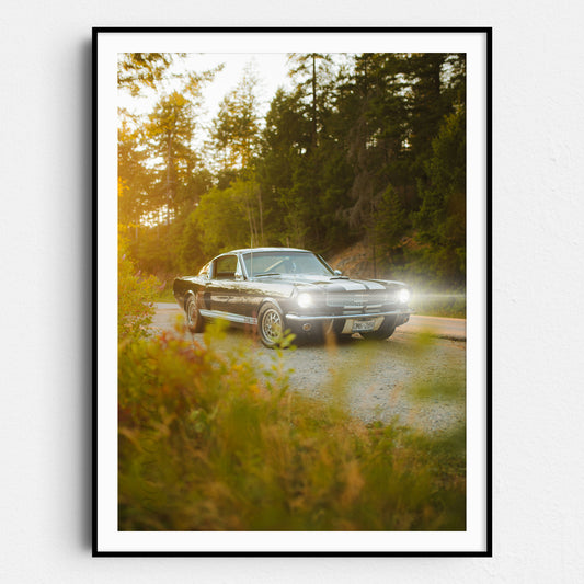 Vintage Ford Mustang Shelby GT500 on a Country Road