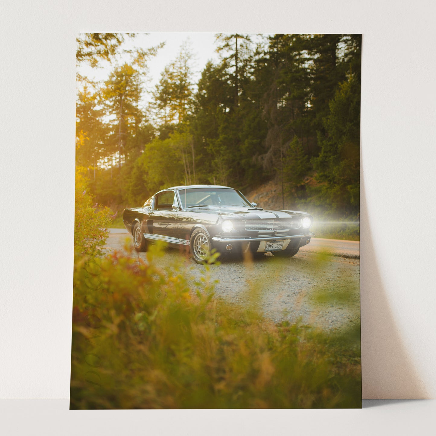 Vintage Ford Mustang Shelby GT500 on a Country Road