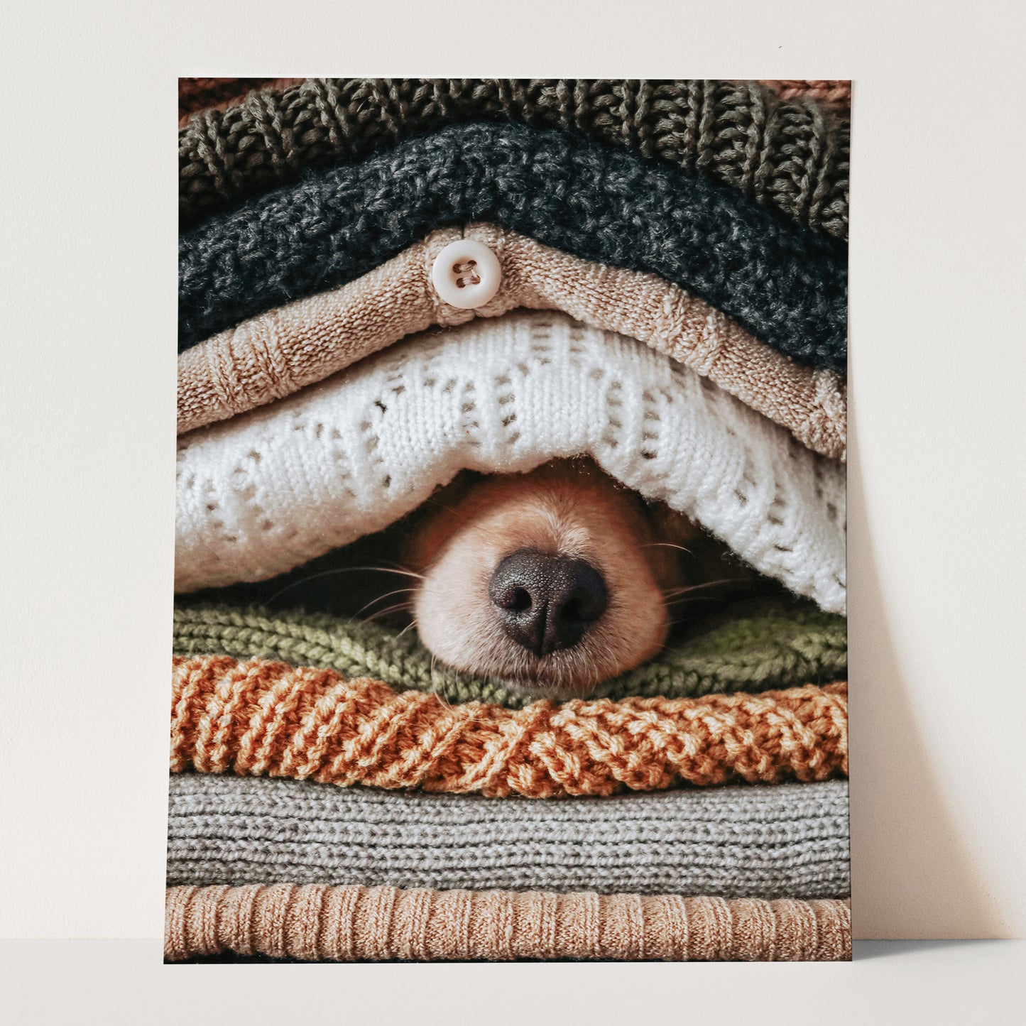 Dog Hiding Between Sweaters
