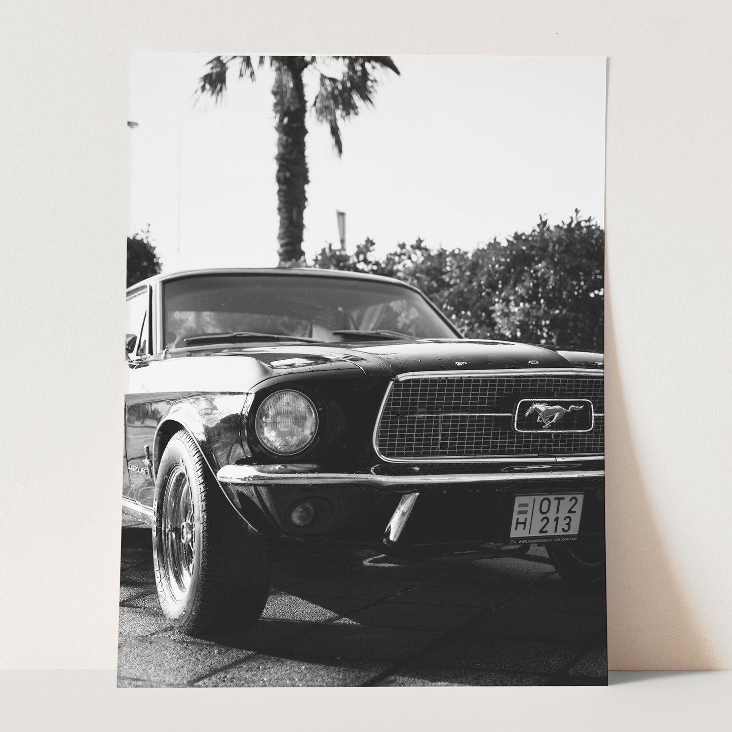 Vintage Ford Mustang and Palm Trees