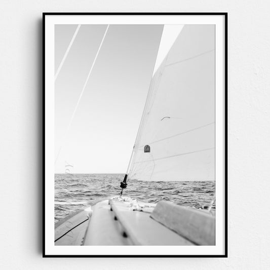 Sailing Afternoon