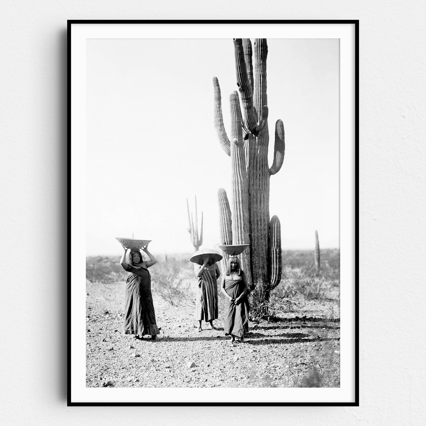 Saguaro Gatherers, Maricopa, Arizona (1907) by Edward Curtis