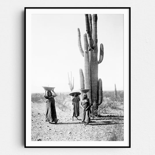 Saguaro Gatherers, Maricopa, Arizona (1907) by Edward Curtis