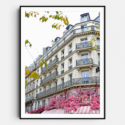 Paris in the Fall