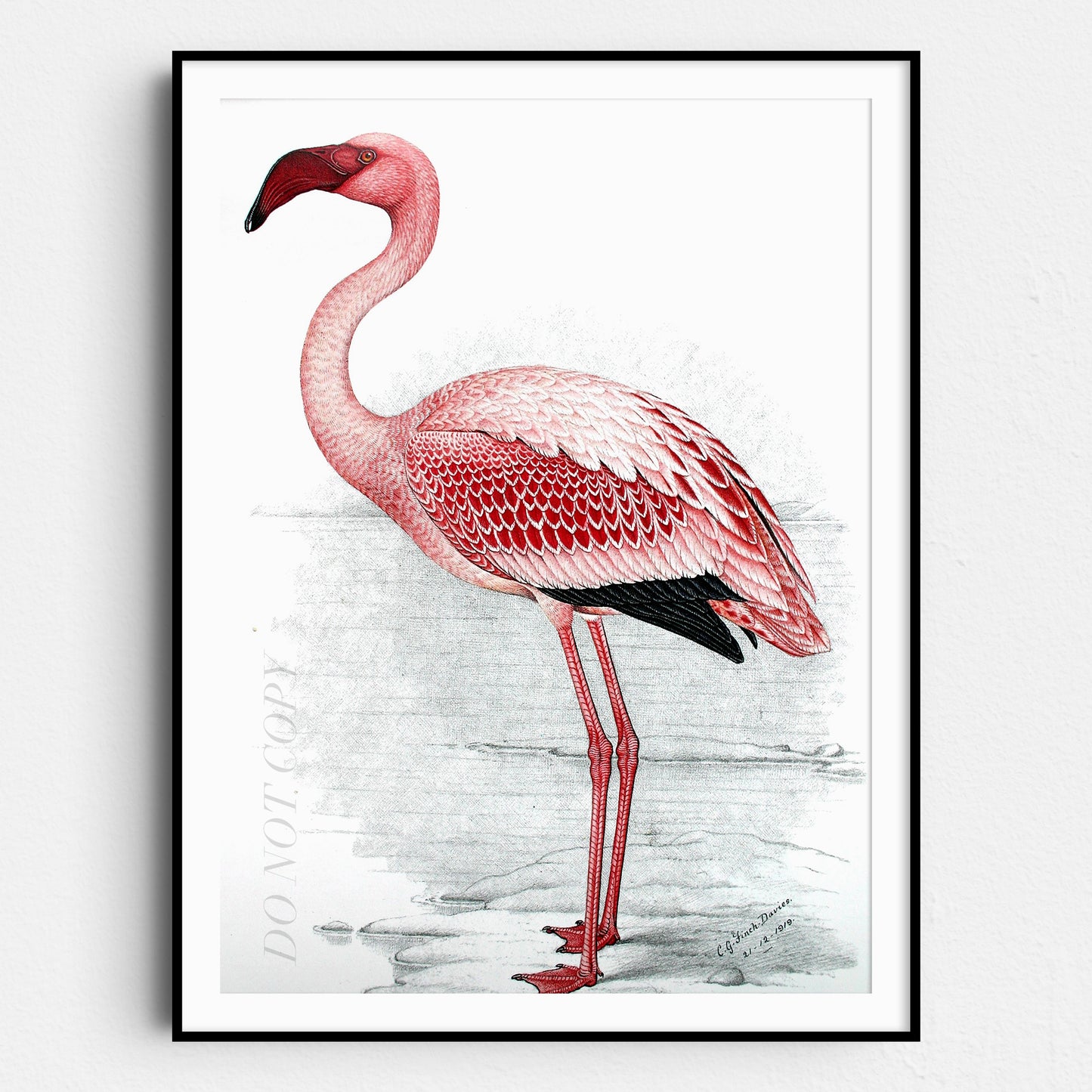 Pink Flamingo