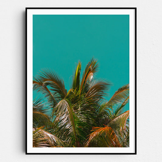 Palm Tree - Aqua
