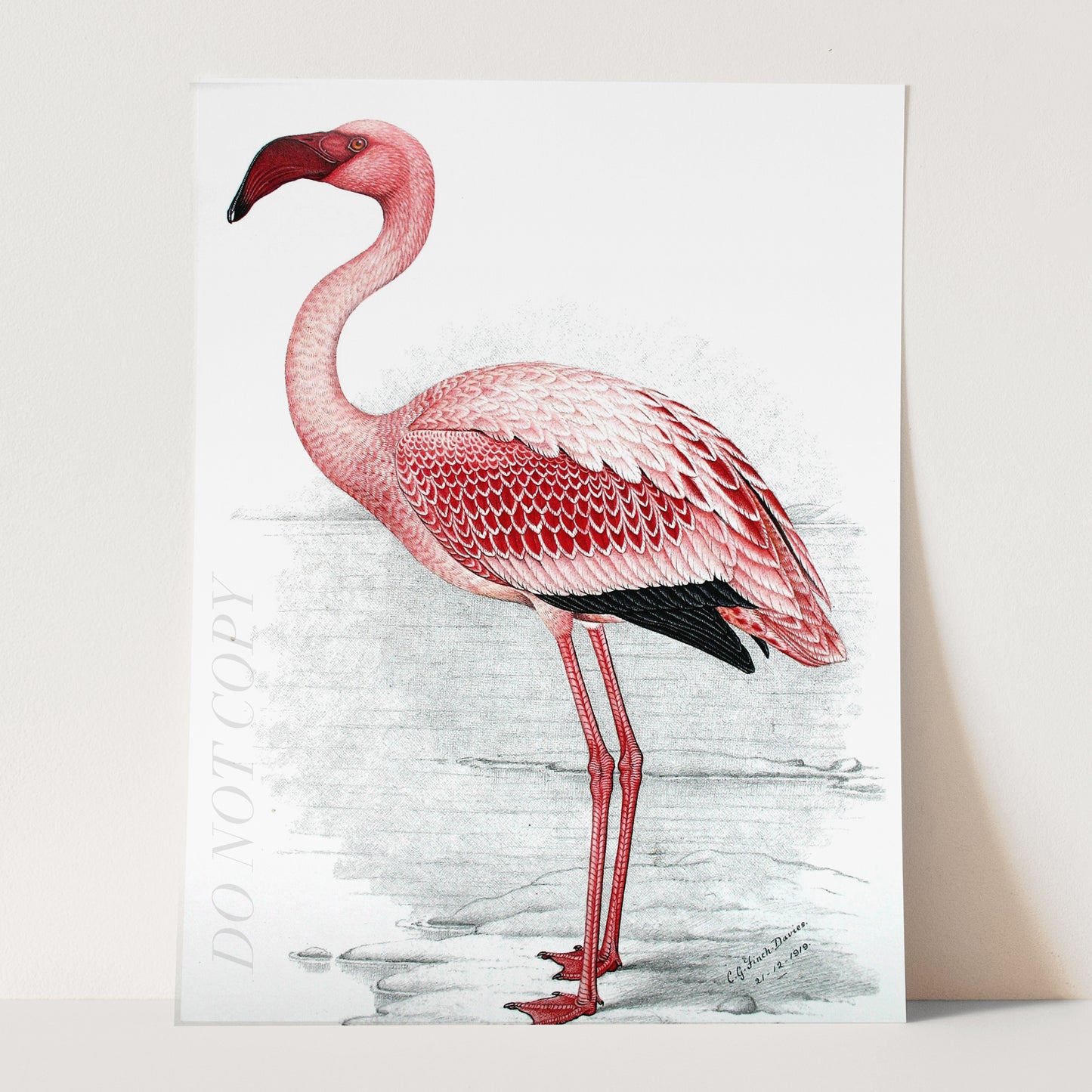 Pink Flamingo