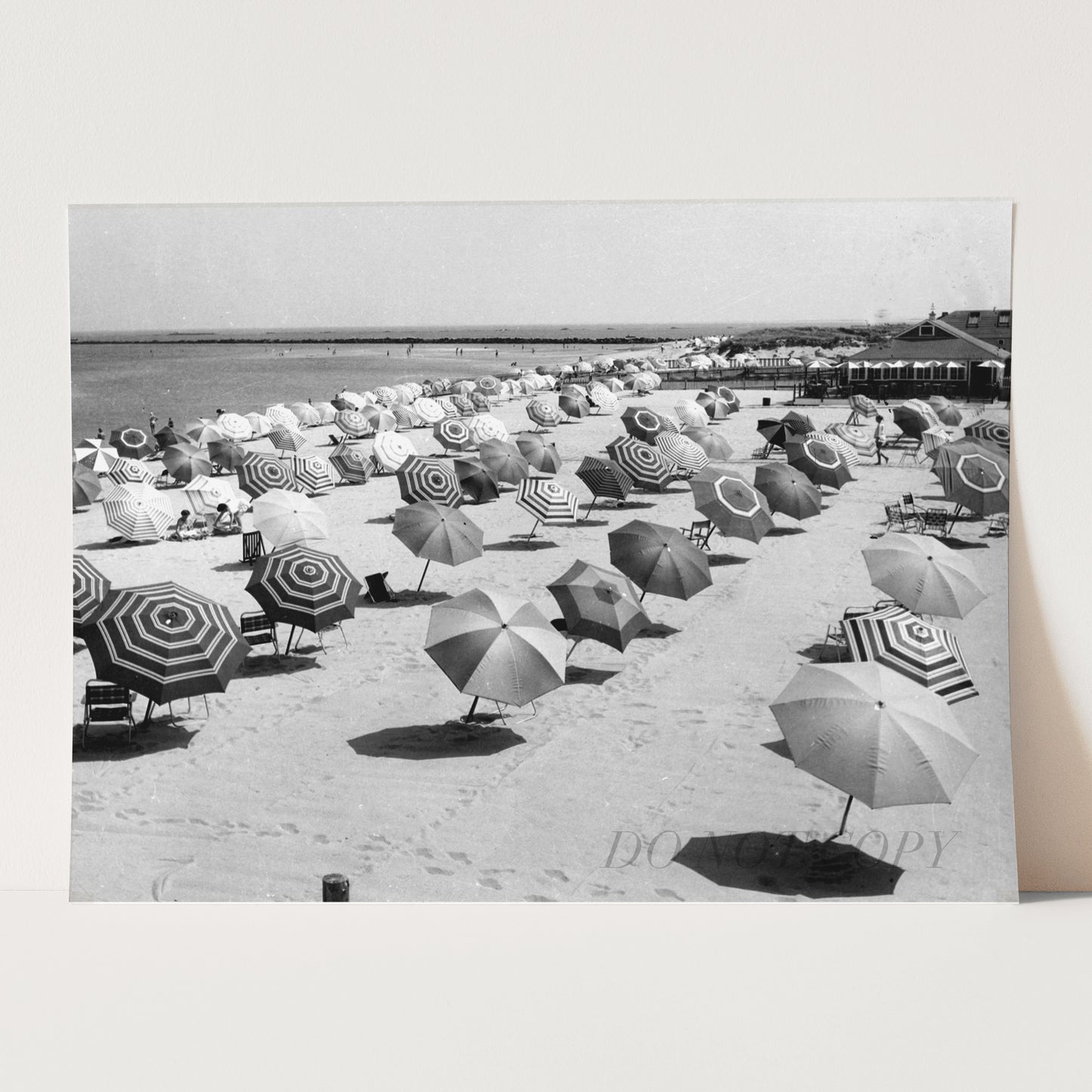 Beach Umbrellas Vintage Beach Photos 1950s