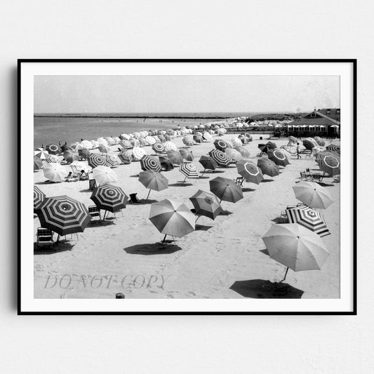 Beach Umbrellas Vintage Beach Photos 1950s