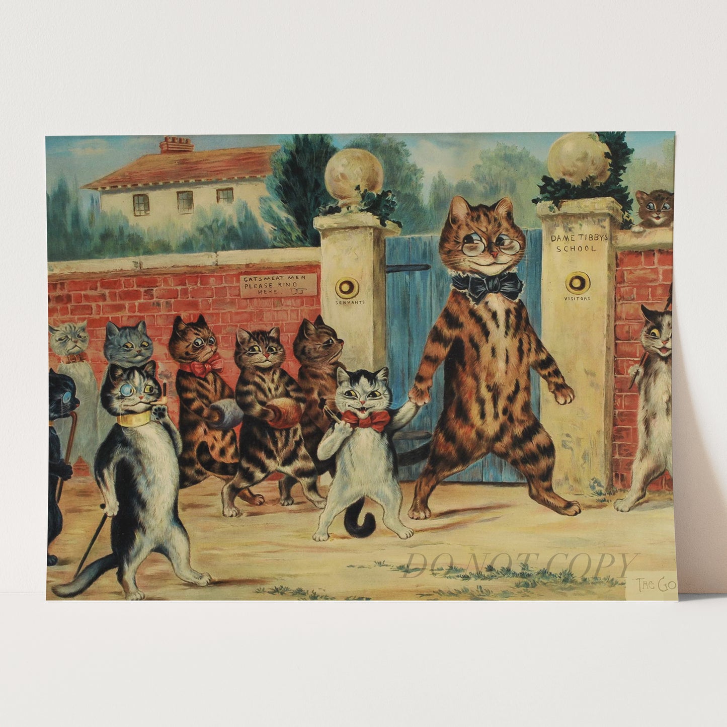 Cats At School