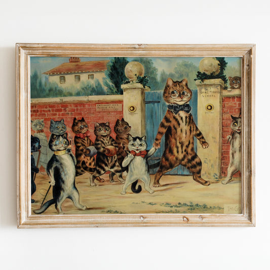 Cats At School