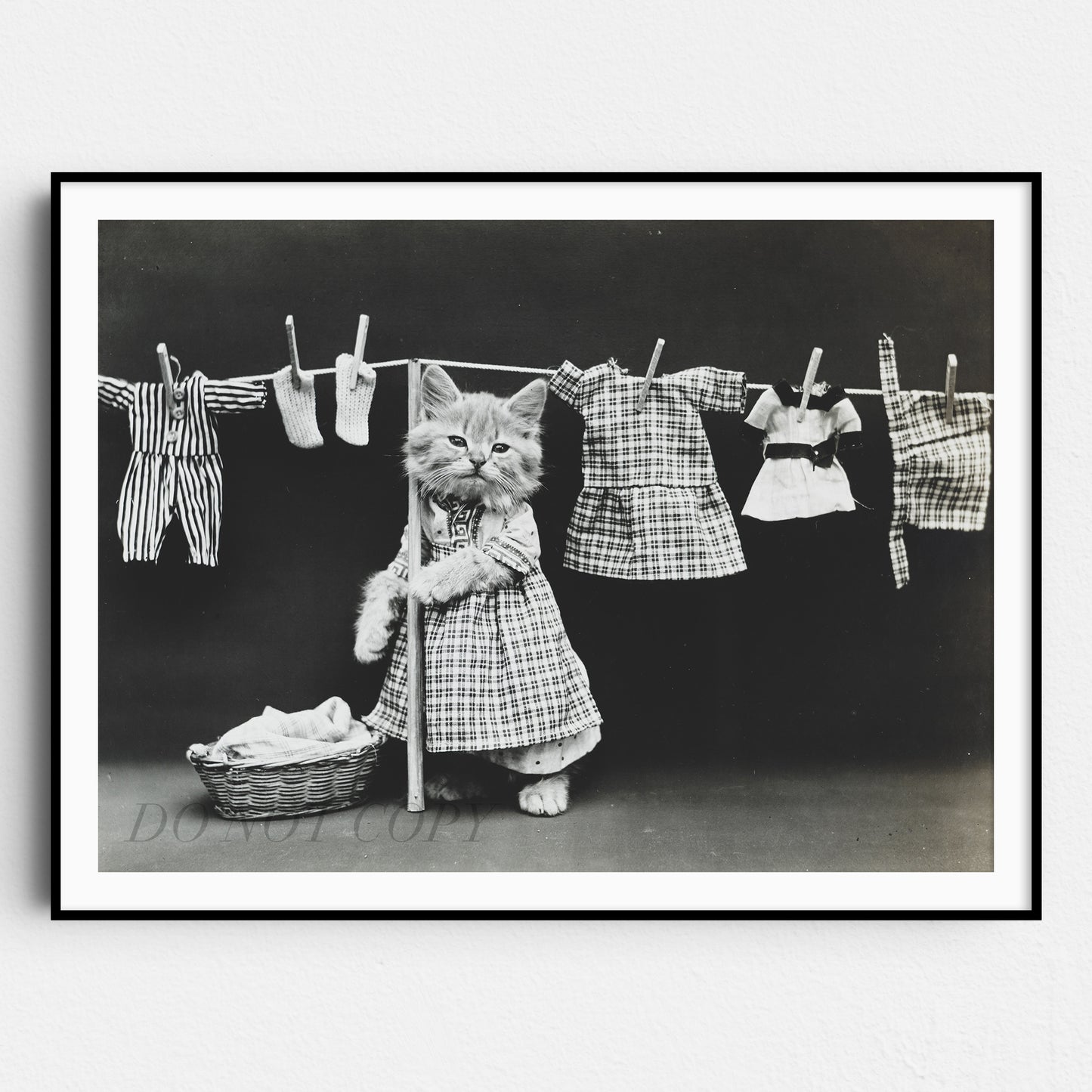 Cats Hanging Up The Wash