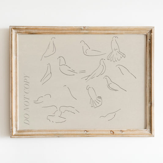Dove Study