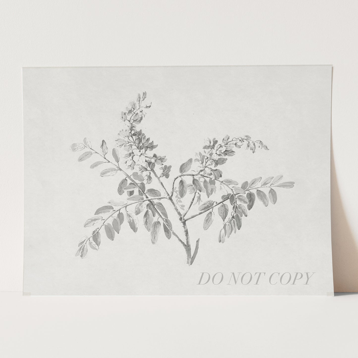 Flowering Branch