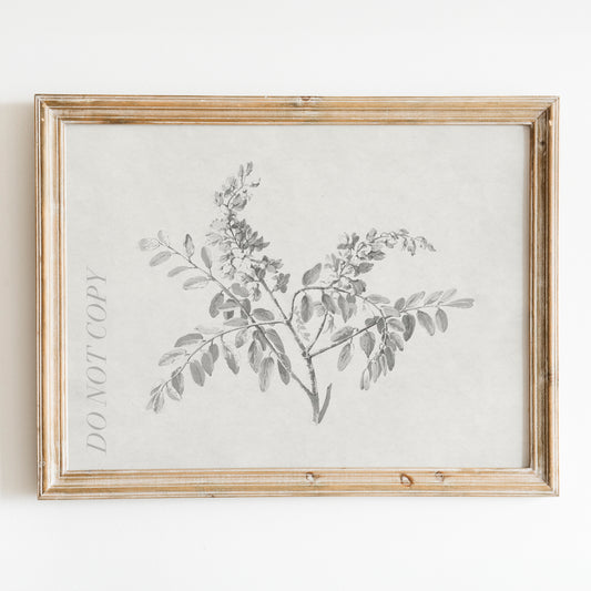 Flowering Branch