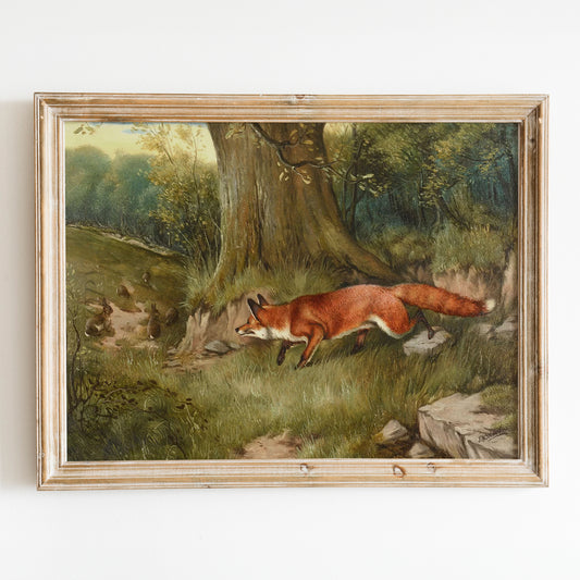 Fox Hunting Rabbits