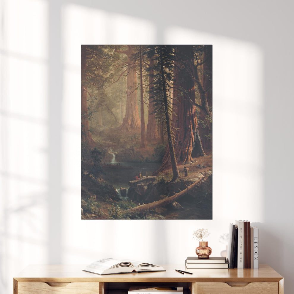 Giant Redwood Trees Wall Art Poster Prints – Prints Limited