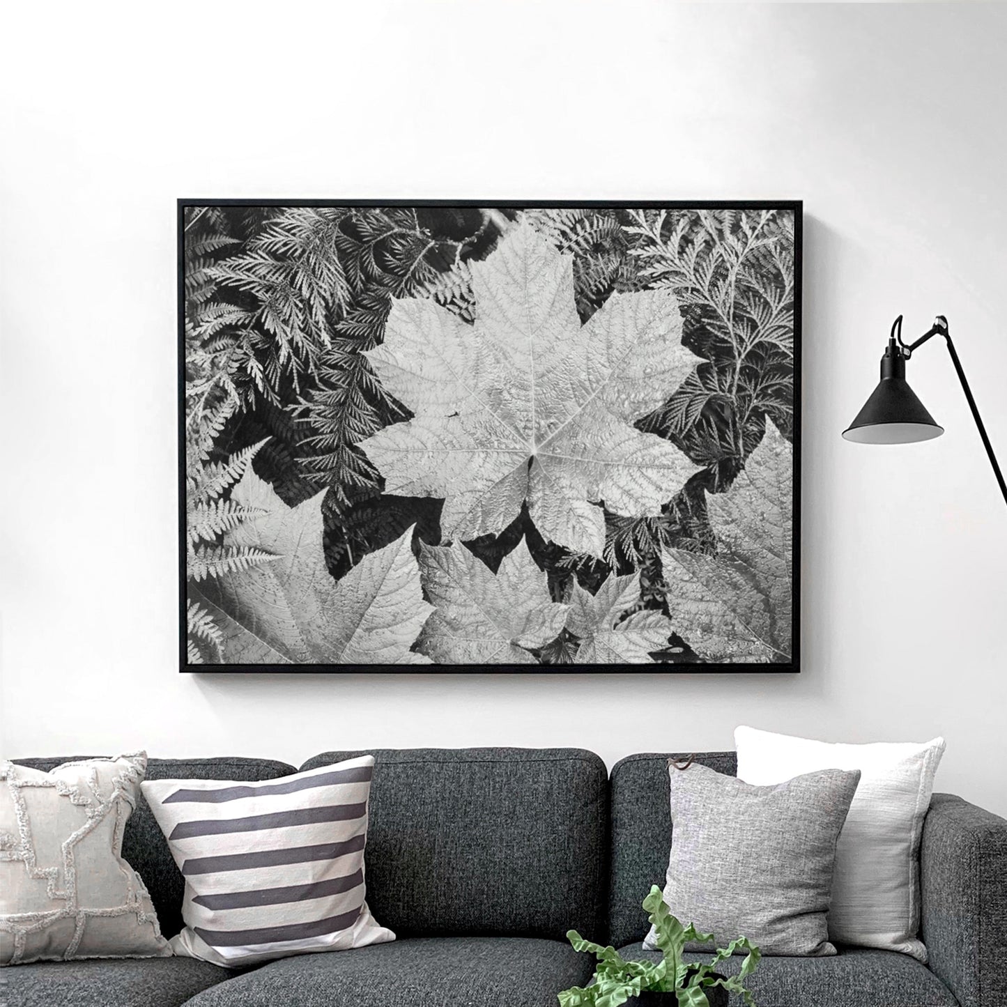 Glacier National Park Montana Leaves by Ansel Adams