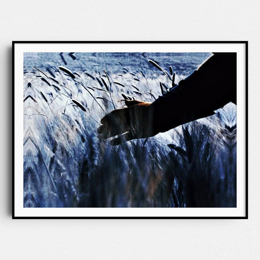 Gladiator Wheat Fields of Elysium