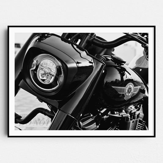 Harley Davidson Front View