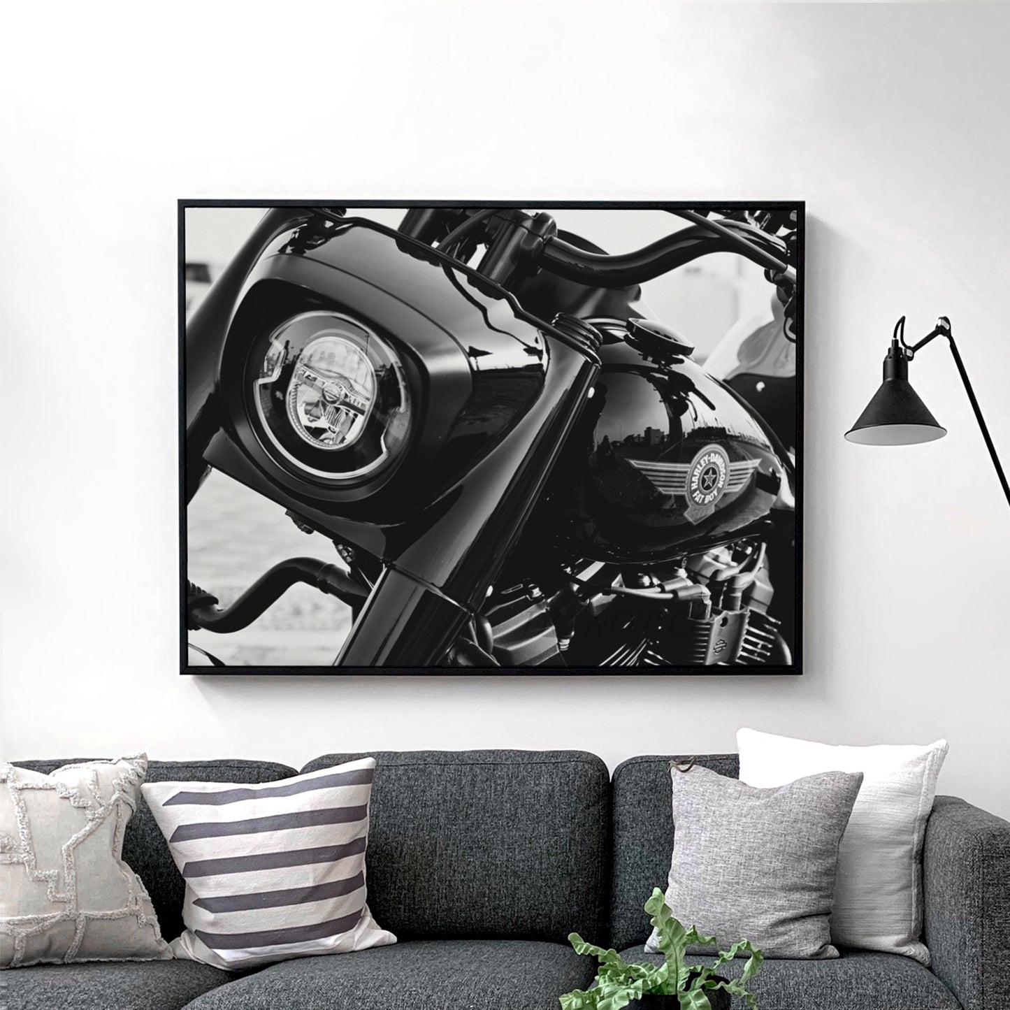 Harley Davidson Front View