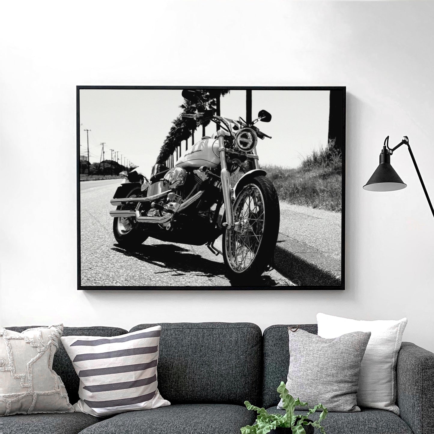 Harley Davidson Motorcycle Among Palm Trees