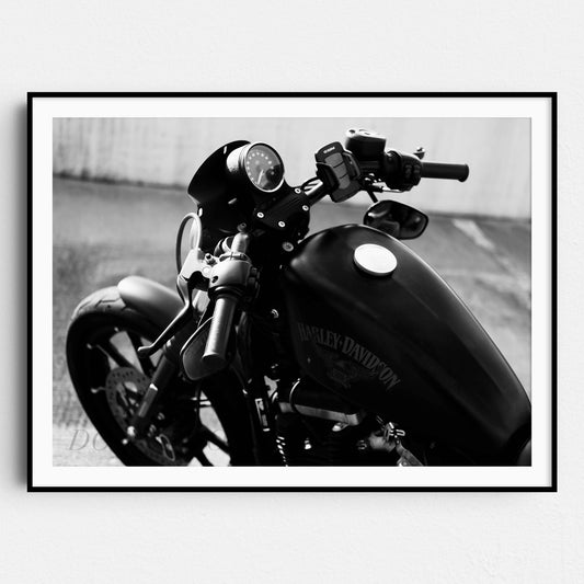 Harley Davidson, Motorcycle