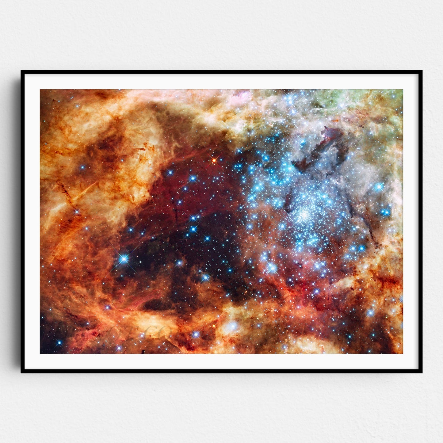 R136 Star Cluster (NASA Hubble Space Telescope)