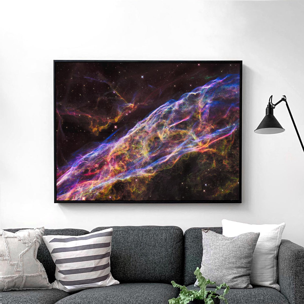 NGC 6960 (Witch's Broom Nebula) Veil Nebula Cygnus Loop