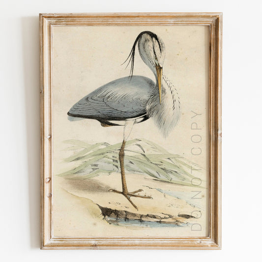 Antique Heron