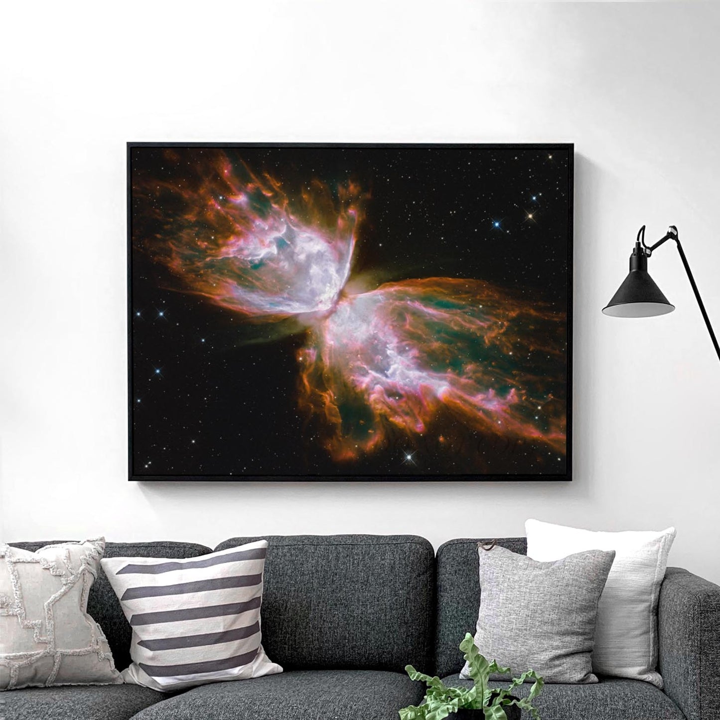 Butterfly Nebula (NASA Hubble Space Telescope)