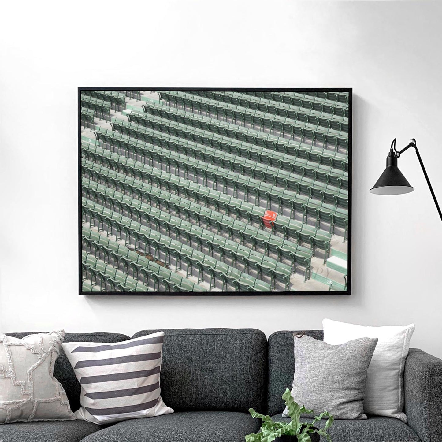 The Lone Red Seat, Fenway Park Boston