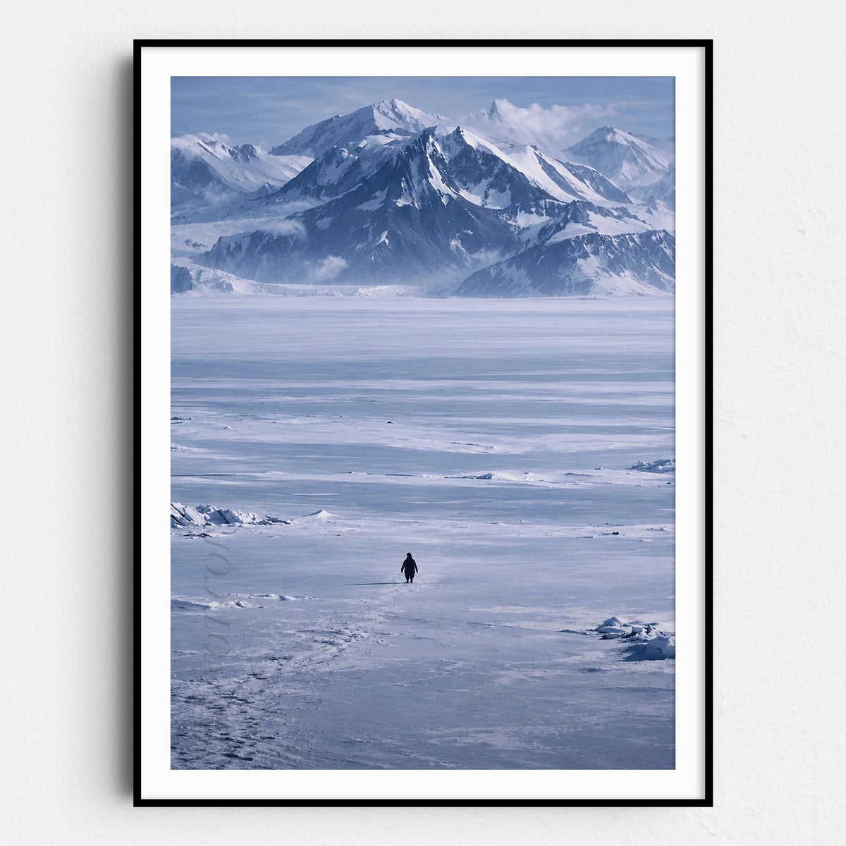 The Lone Penguin