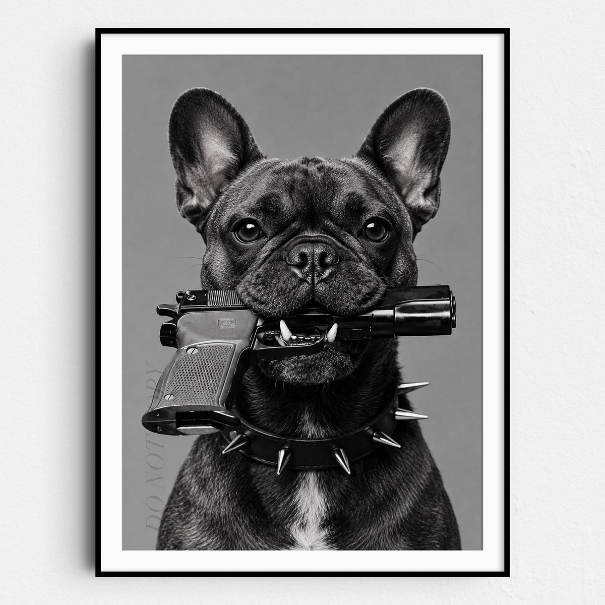 French Bulldog Gun In Mouth