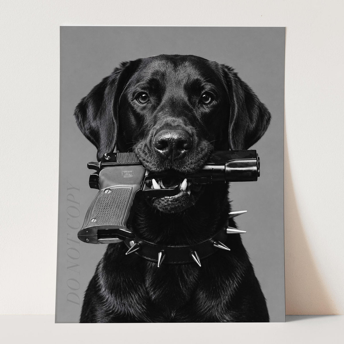 Black Labrador Gun In Mouth
